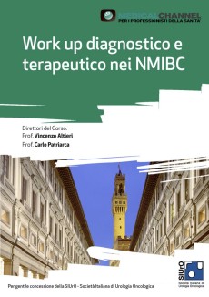 Work up diagnostico e terapeutico nei NMIBC