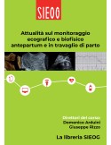 Attualità sul monitoraggio ecografico e biofisico antepartum e in travaglio di parto - videocorso
