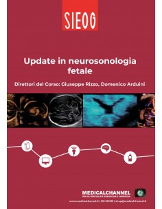 Update in neurosonologia fetale
