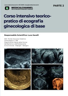 Corso Teorico Pratico di Ecografia Ginecologica di Base - Parte 2