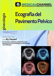 Ecografia del pavimento pelvico 2