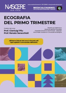 Ecografia del primo trimestre