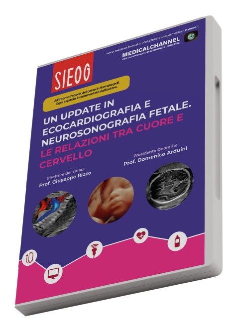 Update in ecocardiografia e neurosonografia fetale. Relazioni tra cuore e cervello