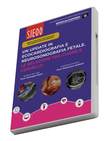 Update in ecocardiografia e neurosonografia fetale. Relazioni tra cuore e cervello