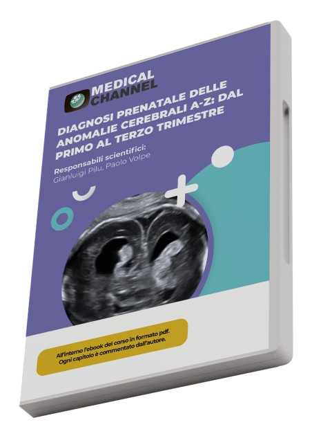 Diagnosi prenatale delle anomalie cerebrali A-Z: dal I al III trimestre