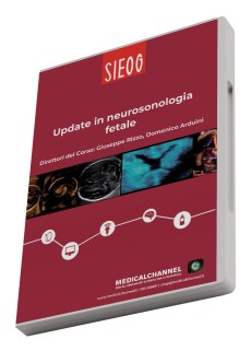 Update in neurosonologia fetale
