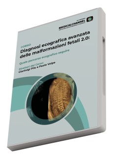 Diagnosi ecografica avanzata delle malformazioni fetali 2.0: quale percorso ecografico seguire
