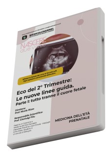 Eco del 2° Trimestre: Le nuove linee guida. Parte I: tutto tranne il cuore fetale