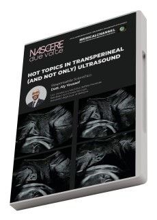 Hot Topics in Transperineal (and not only) Ultrasound